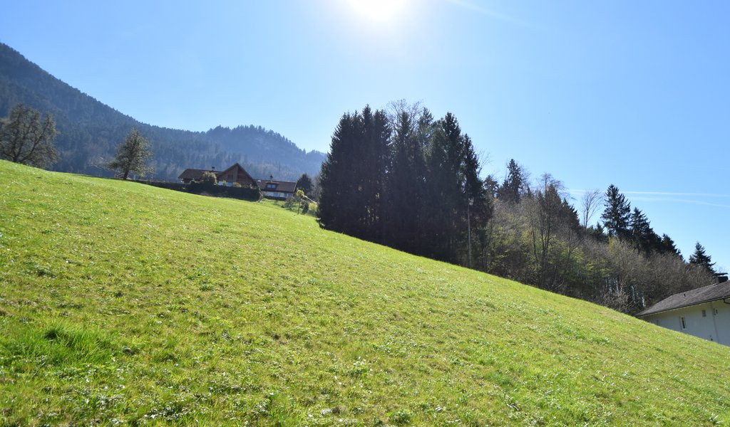 Schönes Baugrundstück in naturnaher Lage