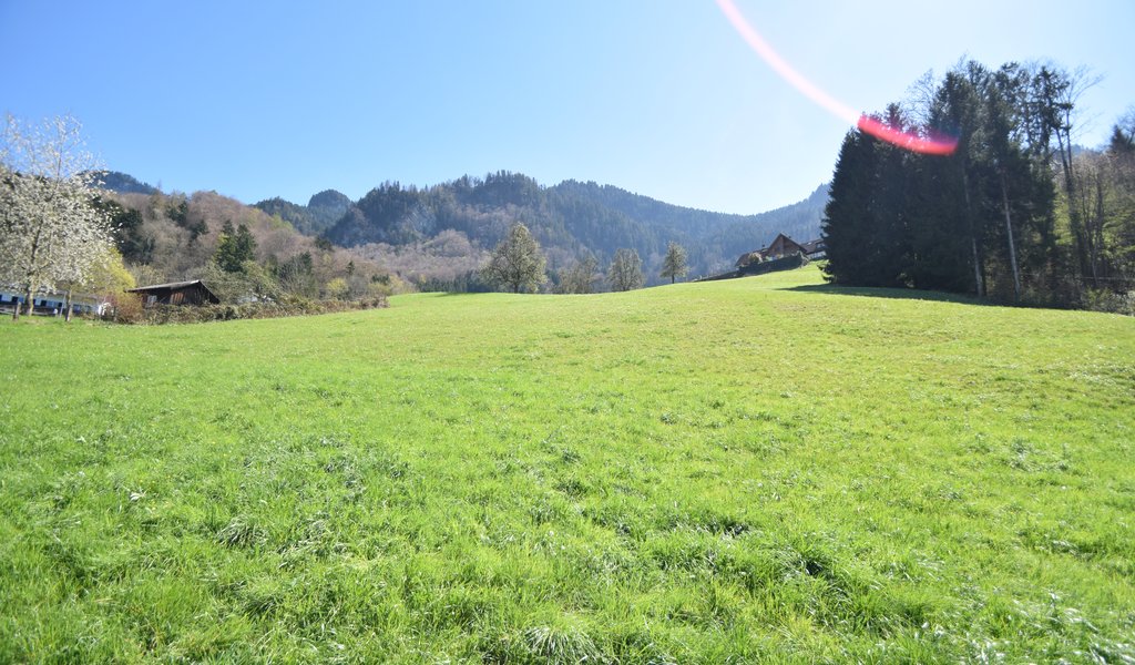 Schönes Baugrundstück in naturnaher Lage
