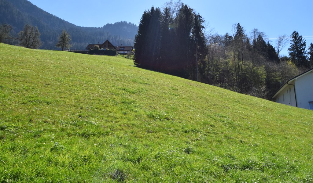Schönes Baugrundstück in naturnaher Lage